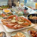 대포항식당 | 속초 대게 맛집 추천 시세 대포항 애견동반 식당 대포리