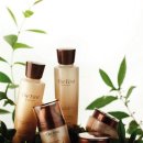 퍼스트케어 이미지