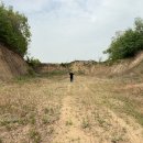 벽진농장 이미지