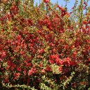 금호강2 이미지