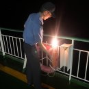 오션 비스타 제주호 이미지