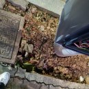 자양초교 이미지