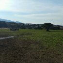 현수목장 이미지