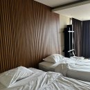 신신호텔 서귀포 | [서귀포 숙소 추천] 제주 신신호텔(제주오션) 내돈내산 후기🏨 가성비+인프라+업그레이드까지!