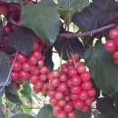 박정숙 농장 이미지