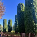 다호마을 | [이탈리아 여행] 서유럽 3국 패키지여행 6일차 이태리 시르미오네 포토스팟 여행후기