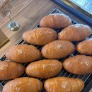 오치브 | 청주 내수 메리다 근처 대형 카페 오치브 후기