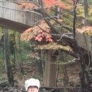 제주산전