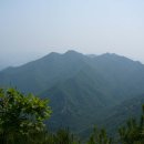 동악산한우 이미지