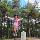 완산-164 Daum카페
