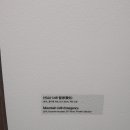 제주 보헤미안 이미지