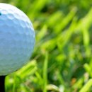 목동11스크린골프 이미지