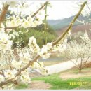 서봉1구 이미지