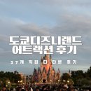 rabbit mountain | 첫일본여행19 도쿄디즈니랜드 어트랙션 17개 놀이기구 직접 타본 순서와 추천 정보