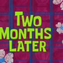 보성택시앞 이미지