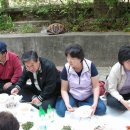 반월초등학교 이미지