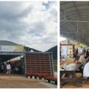 회문산 특산물 판매장 티스토리