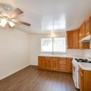 라크라센타(2) 이미지