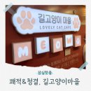 개냥이 | 잠실 놀거리 미묘 개냥이 많은 길고양이마을