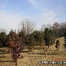 배관청사람들 이미지