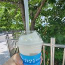 하삼동커피진해 이미지