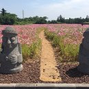 조천4경로당 이미지