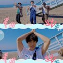참치의힘 - 부산진구 양지로11번길 16 | 참치의힘