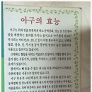 구로-구로-구로-370 이미지