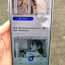 배러매러 | 보아 20주년 콘서트 [THE BoA : Musicality] 후기