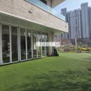 애견카페 134 이미지