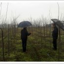 창신농장 이미지