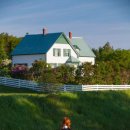 초록지붕 이미지