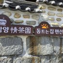 담양정다원