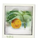 오징어땅콩 - 평택시 | 오징어땅콩