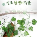 조화 이미지