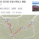 지에스(GS)25 태백가온점 이미지