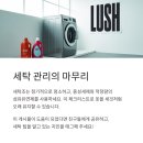 지금은 세탁중 이미지