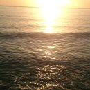 돌아온 해순을 이미지