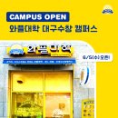 와플대학 대구수창 캠퍼스 6/5(수) OPEN!