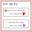 [칸디다질염 칸디다염증 질가려움 질따가움 치료기록] 성남 김정혜산부인과 [6월 5일 블챌일기]