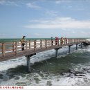 호미반도해안둘레길 이미지