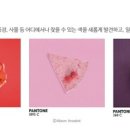유유아로마 이미지