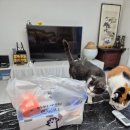 월송멕시카나 이미지