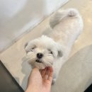 테일링커피로스터스 이미지