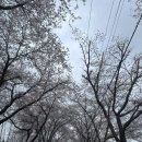 [사천 대형카페 추천] 삼천포 베이커리 카페 ‘비토리카페’ 솔직 후기!