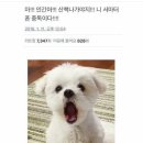 솔빛태권스쿨 이미지