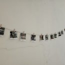 고양이 행복구역 이미지