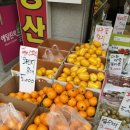 백두상회 이미지