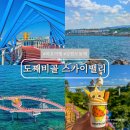 동해 도째비골 스카이밸리 해랑전망대 입장료 및 방문 후기