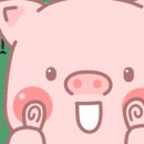 이화여자대학교 국제대학원 | #자소서첨삭# 이화여대 국제대학원 학계서 첨삭 후기 (feat.해외파)